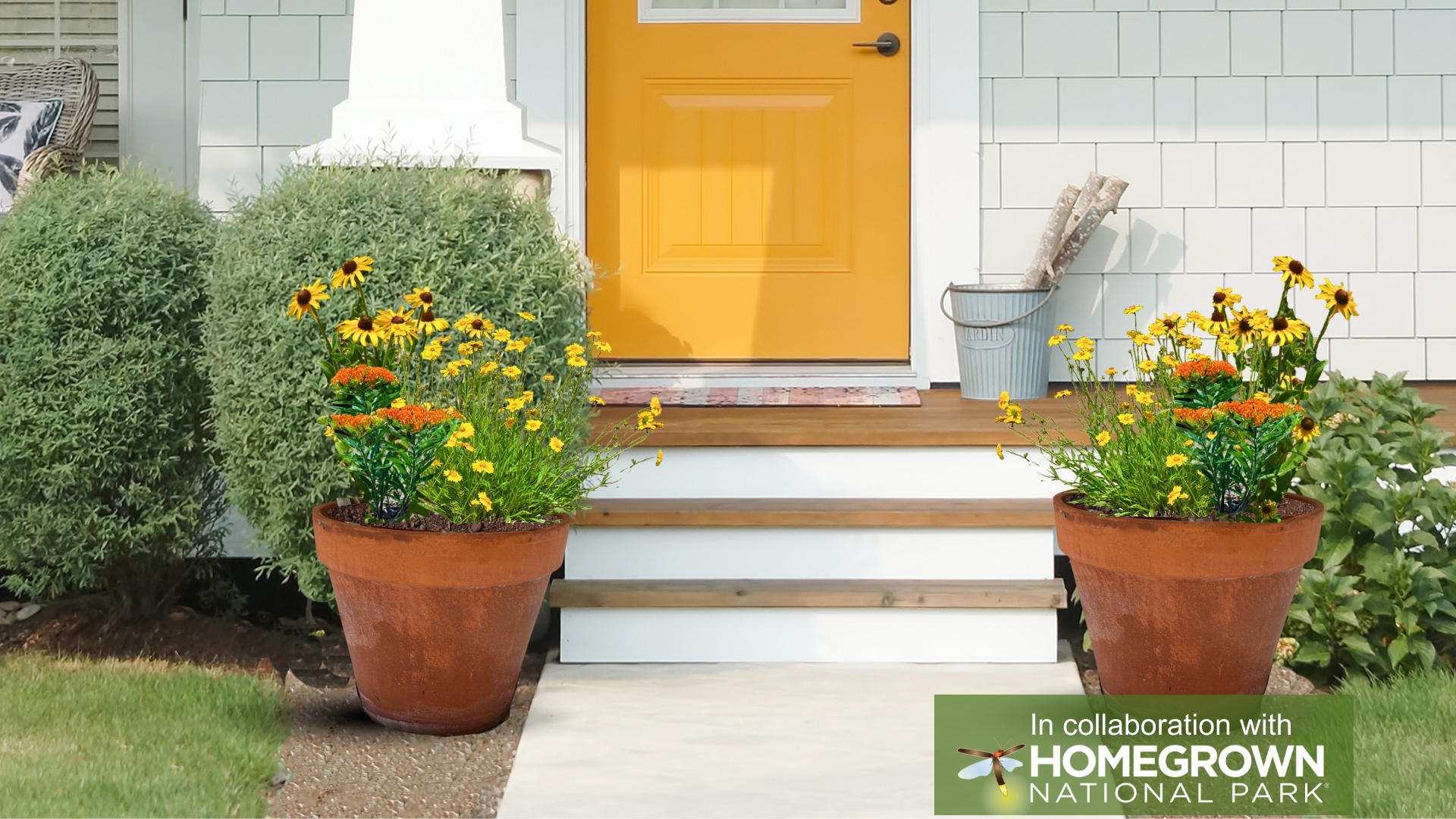 Southeast Keystone Native Container Garden for Sun