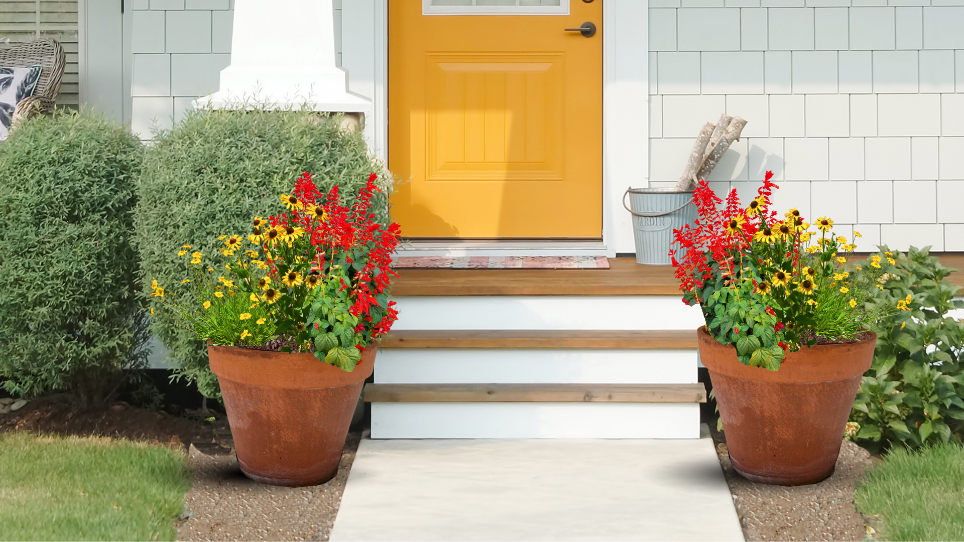 Summer Sun Container Garden