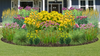 Native Sun Garden for Clay