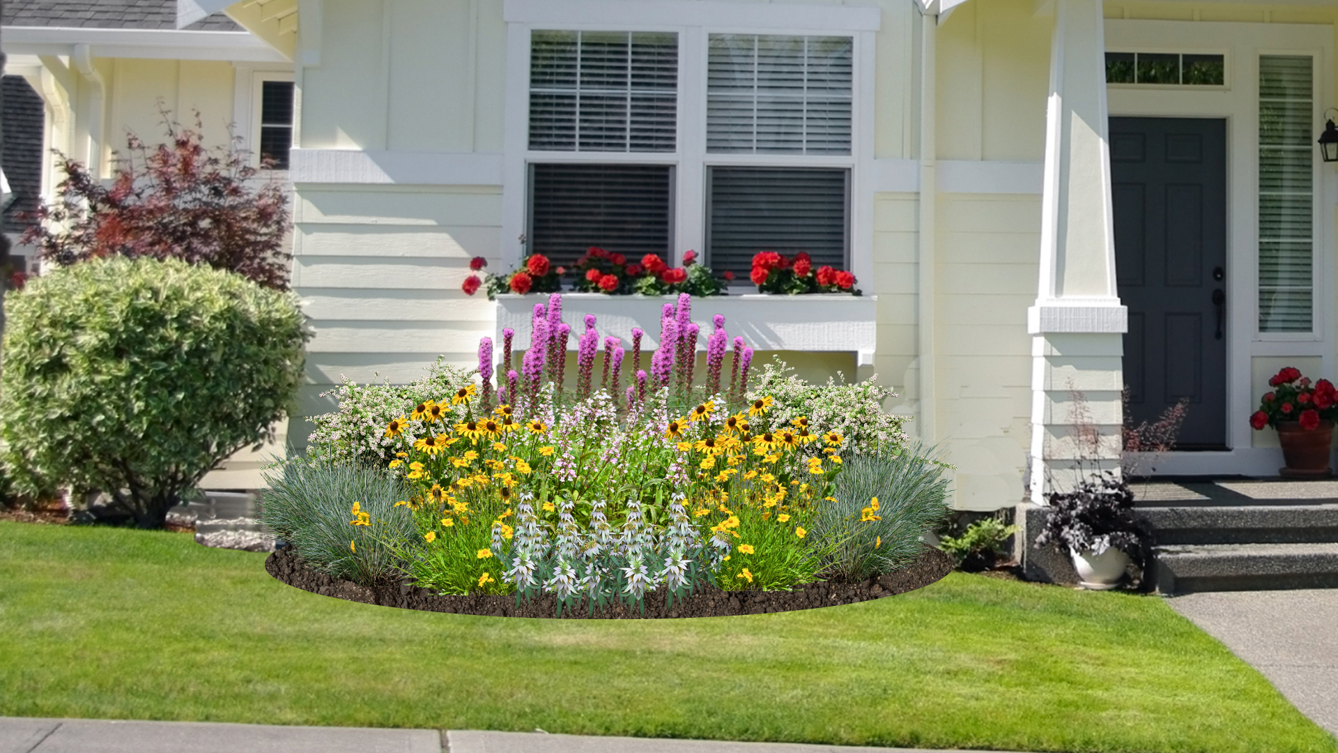 Sunny Meadow Native Garden