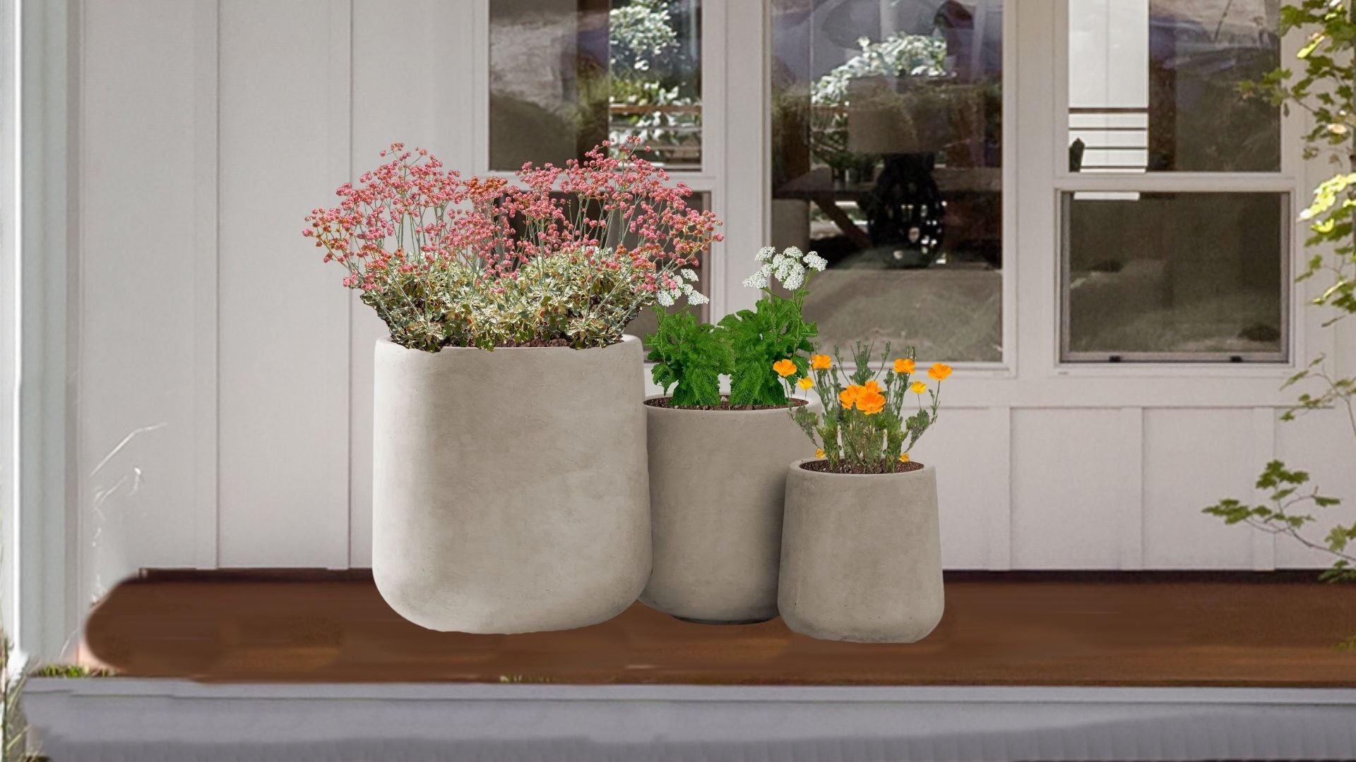 Sunset Colors Native Container Garden