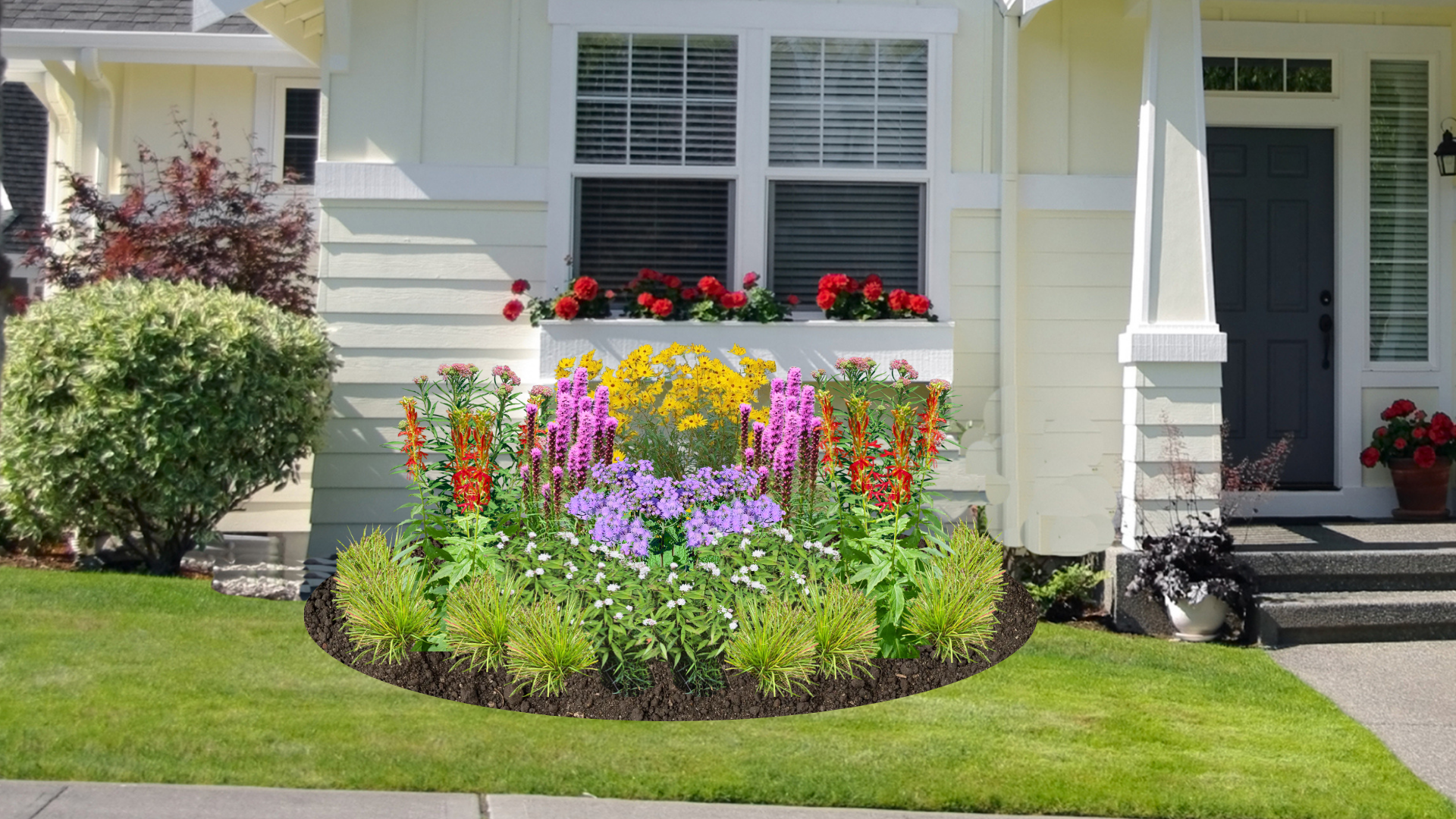 Sunshower Native Rain Garden