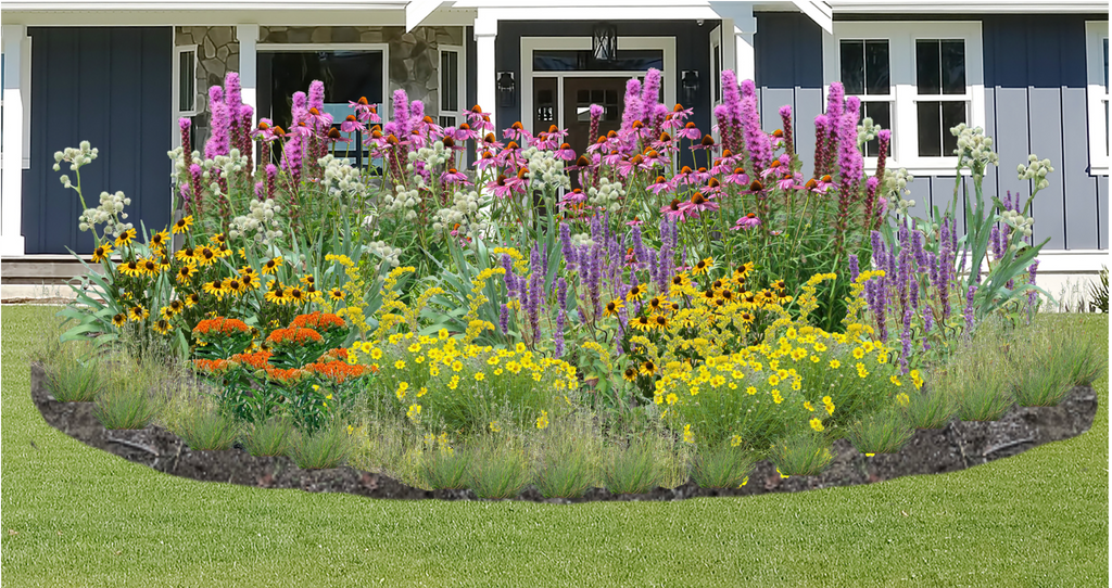 Wondrous Wildflowers Native Garden