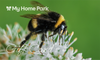 My Home Park Digital Gift Card