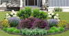 Purple Dome Bird & Butterfly Garden